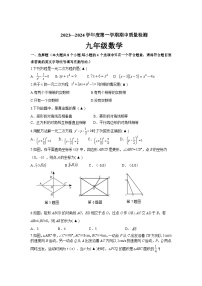 辽宁省锦州市黑山县2024届九年级上学期期中质量检测数学试卷(含答案)