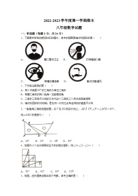 山东省菏泽市巨野县2022-2023学年八年级上学期期末考试数学试卷(含答案)