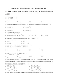 山西省运城市临猗县2022-2023学年八年级上学期期末模拟测试数学试卷(含解析)