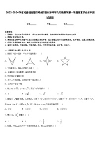 2023-2024学年河南省南阳市邓州市张村乡中学九年级数学第一学期期末学业水平测试试题含答案