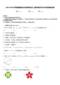 2023-2024学年福建省泉山市台商投资区九上数学期末学业水平测试模拟试题含答案