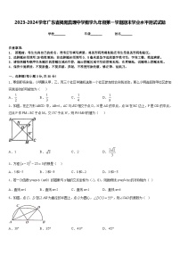 2023-2024学年广东省揭阳真理中学数学九年级第一学期期末学业水平测试试题含答案