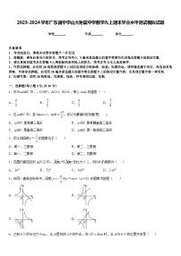 2023-2024学年广东省中学山大附属中学数学九上期末学业水平测试模拟试题含答案