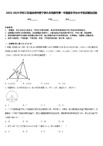 2023-2024学年江苏省徐州市锥宁县九年级数学第一学期期末学业水平测试模拟试题含答案