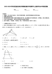 2023-2024学年河北省石家庄市桥西区部分学校数学九上期末学业水平测试试题含答案