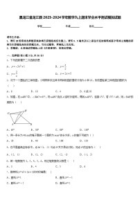 黑龙江省龙江县2023-2024学年数学九上期末学业水平测试模拟试题含答案