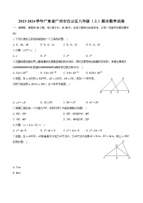 2023-2024学年广东省广州市白云区八年级（上）期末数学试卷(含解析）