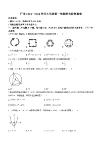 广东省云浮市新兴县2023-2024学年九年级上学期期末数学试题