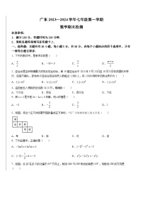 广东省云浮市新兴县2023-2024学年七年级上学期期末数学试题