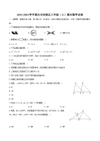 2023-2024学年重庆市涪陵区八年级（上）期末数学试卷(含解析）