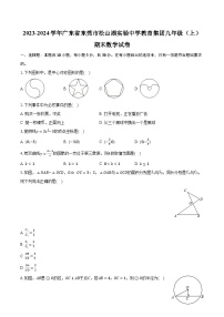 2023-2024学年广东省东莞市松山湖实验中学教育集团九年级（上）期末数学试卷(含解析）