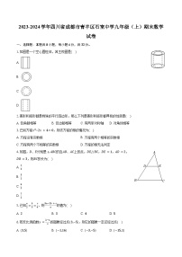 2023-2024学年四川省成都市青羊区石室中学九年级（上）期末数学试卷(含解析）