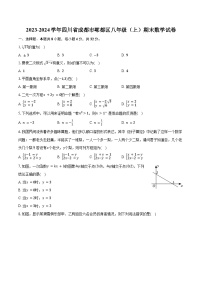 2023-2024学年四川省成都市郫都区八年级（上）期末数学试卷（含解析）