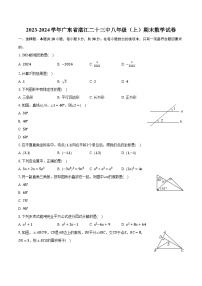 2023-2024学年广东省湛江二十三中八年级（上）期末数学试卷（含解析）