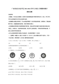 广东省汕头市金平区2023-2024学年九年级上学期期末数学模拟试题（含答案）