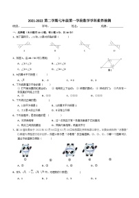 广东省惠州市惠东县多祝中学2021-2022学年七年级下学期第一学段数学学科素养检测试卷（Word版无答案）