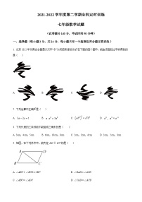 江苏省江苏师范大学附属实验学校2021-2022学年七年级下学期3月月考数学试题