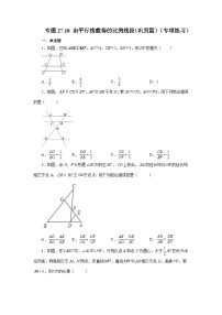 人教版九年级数学下册基础知识专项讲练 专题27.10 由平行线截得的比例线段（巩固篇）（专项练习）