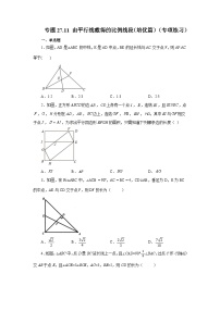 人教版九年级数学下册基础知识专项讲练 专题27.11 由平行线截得的比例线段（培优篇）（专项练习）