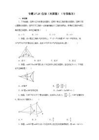 人教版九年级数学下册基础知识专项讲练 专题27.25 位似（巩固篇）（专项练习）