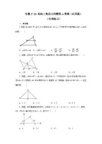 人教版九年级数学下册基础知识专项讲练 专题27.28 相似三角形几何模型-A型图（巩固篇）（专项练习）