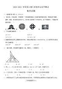 河南省信阳市淮滨县2023-2024学年八年级上学期1月期末数学试题