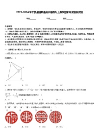 2023-2024学年贵州省黔南州长顺县九上数学期末考试模拟试题含答案