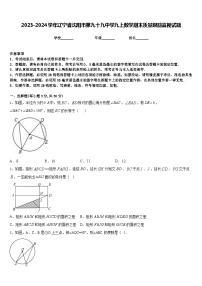 2023-2024学年辽宁省沈阳市第九十九中学九上数学期末质量跟踪监视试题含答案