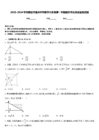 2023-2024学年鹤壁市重点中学数学九年级第一学期期末学业质量监测试题含答案