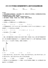 2023-2024学年黑龙江省甘南县联考数学九上期末学业质量监测模拟试题含答案