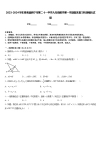 2023-2024学年青海省西宁市第二十一中学九年级数学第一学期期末复习检测模拟试题含答案