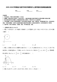 2023-2024学年黑龙江省齐齐哈尔市建华区九上数学期末质量跟踪监视试题含答案