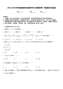 2023-2024学年陕西省西安市爱知中学九年级数学第一学期期末考试试题含答案