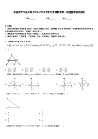 东省济宁市金乡县2023-2024学年九年级数学第一学期期末联考试题含答案