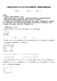 上海民办日日学校2023-2024学年九年级数学第一学期期末检测模拟试题含答案