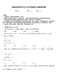 上海民办日日学校2023-2024学年数学九上期末联考试题含答案