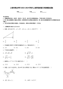 上海市娄山中学2023-2024学年九上数学期末复习检测模拟试题含答案