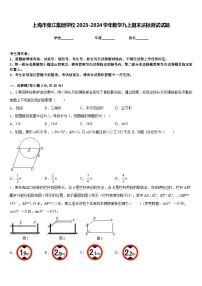 上海市张江集团学校2023-2024学年数学九上期末达标测试试题含答案