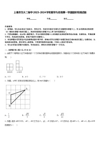 上海市交大二附中2023-2024学年数学九年级第一学期期末检测试题含答案