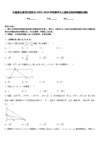 云南省玉溪市红塔区云2023-2024学年数学九上期末达标检测模拟试题含答案