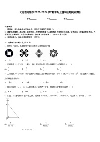 云南省昭通市2023-2024学年数学九上期末经典模拟试题含答案