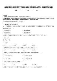 云南省普洱市思茅区第四中学2023-2024学年数学九年级第一学期期末检测试题含答案