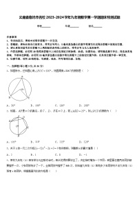 云南省临沧市名校2023-2024学年九年级数学第一学期期末检测试题含答案