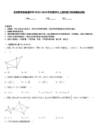 北京教育院附属中学2023-2024学年数学九上期末复习检测模拟试题含答案