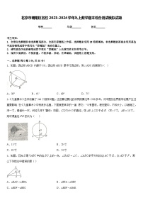 北京市朝阳区名校2023-2024学年九上数学期末综合测试模拟试题含答案