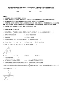 内蒙古赤峰宁城县联考2023-2024学年九上数学期末复习检测模拟试题含答案