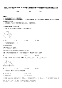 内蒙古和林格尔县2023-2024学年九年级数学第一学期期末教学质量检测模拟试题含答案