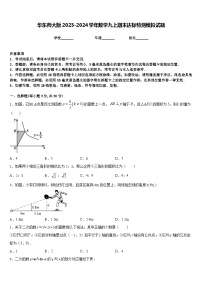 华东师大版2023-2024学年数学九上期末达标检测模拟试题含答案