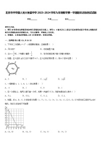 北京市中学国人民大附属中学2023-2024学年九年级数学第一学期期末达标测试试题含答案