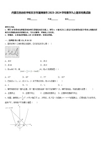 内蒙古自治区呼伦贝尔市满洲里市2023-2024学年数学九上期末经典试题含答案